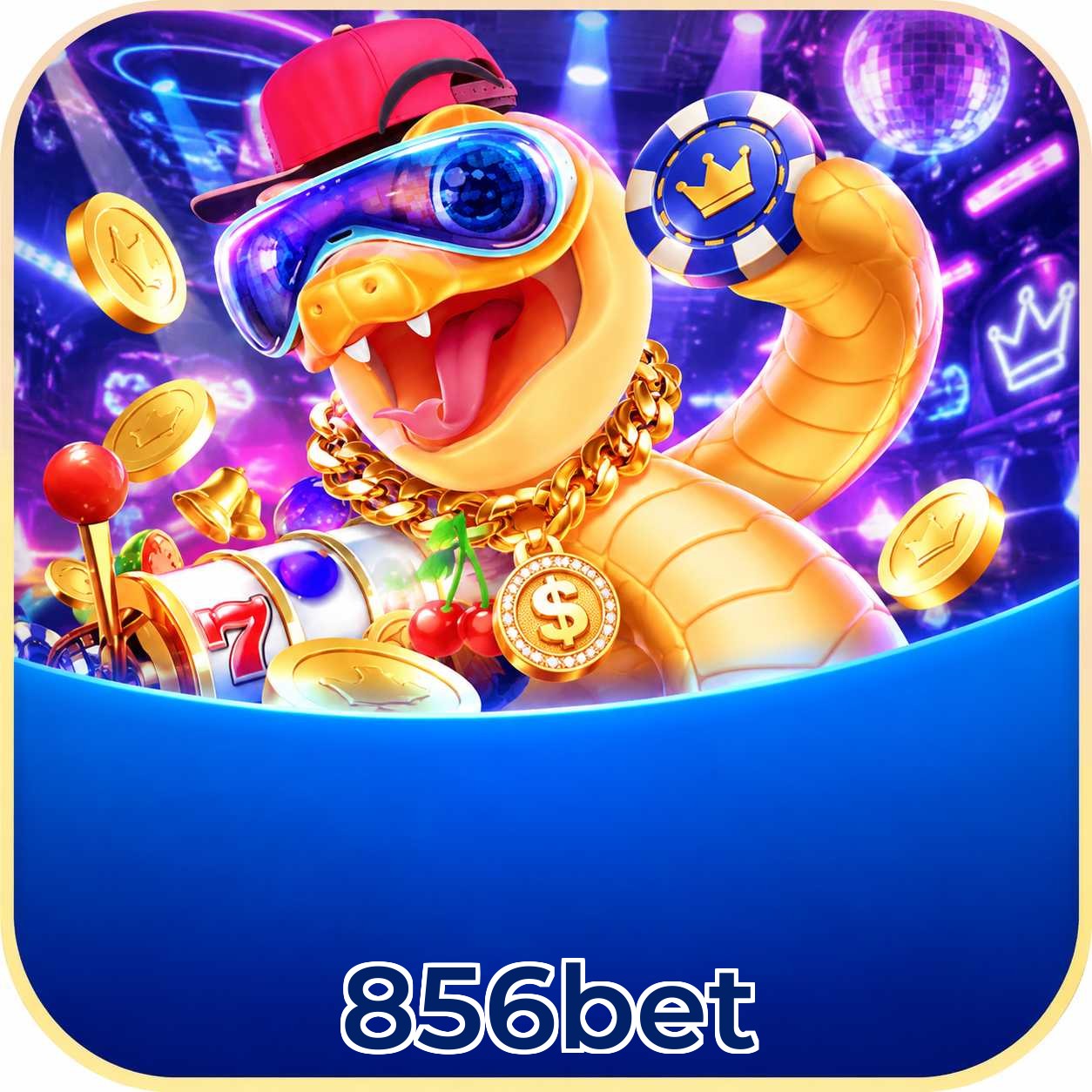 856bet Interface