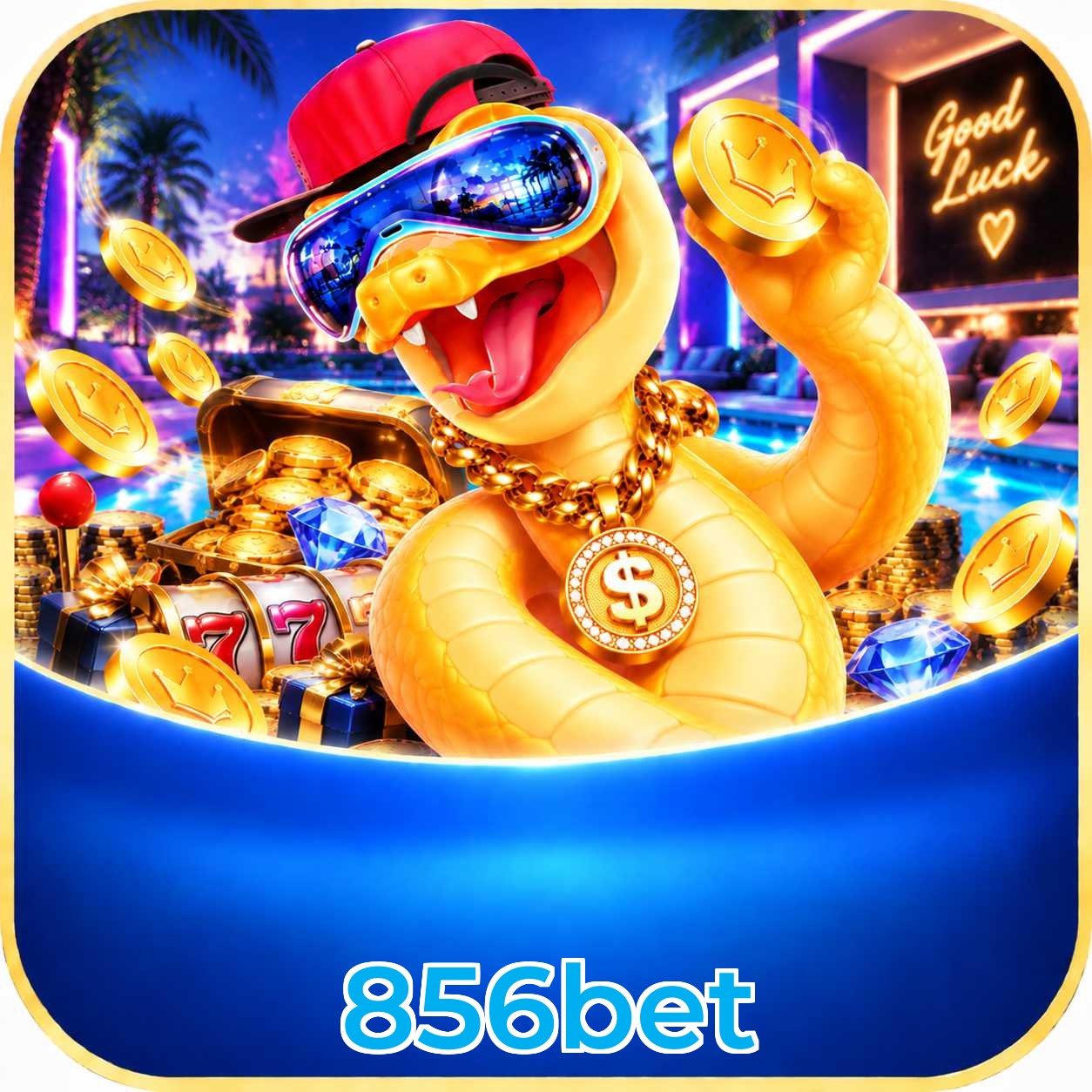 856bet App Features
