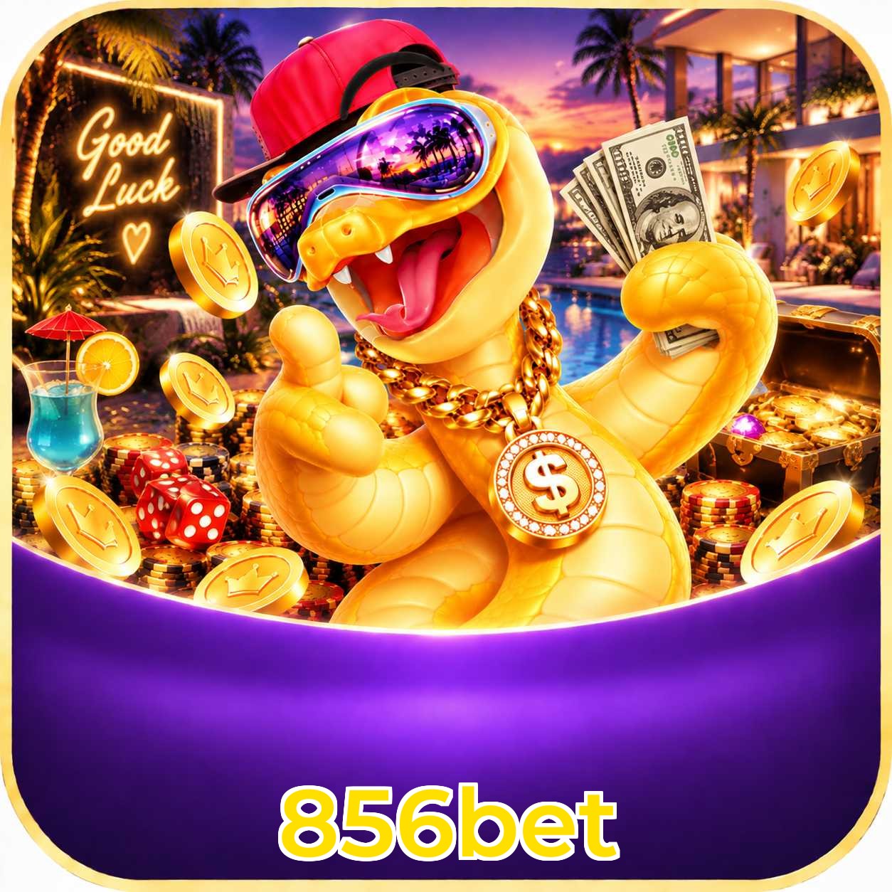 856bet Avaliações