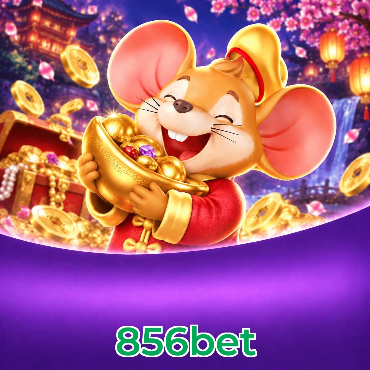 856bet App vs Web